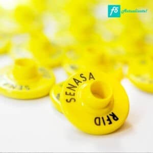 tag vacas ganado pollos